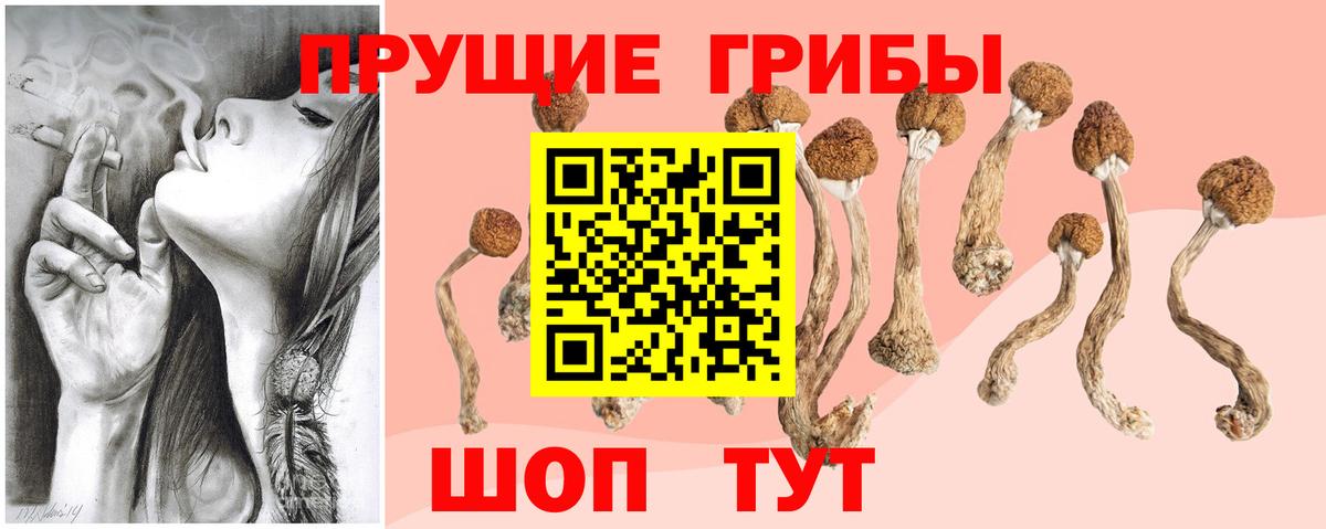 Псилоцибиновые грибы ЛСД Черногорск